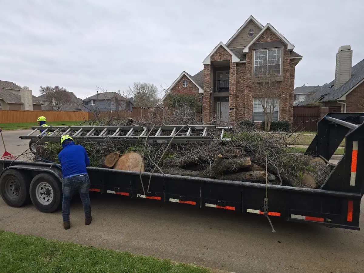 Expert Tree Pest Control with proper safety equipment in Oak Park